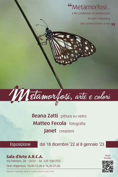 Metamorfosi, arte e colori